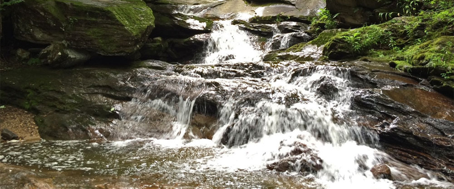 Land Trust Day is June 3 